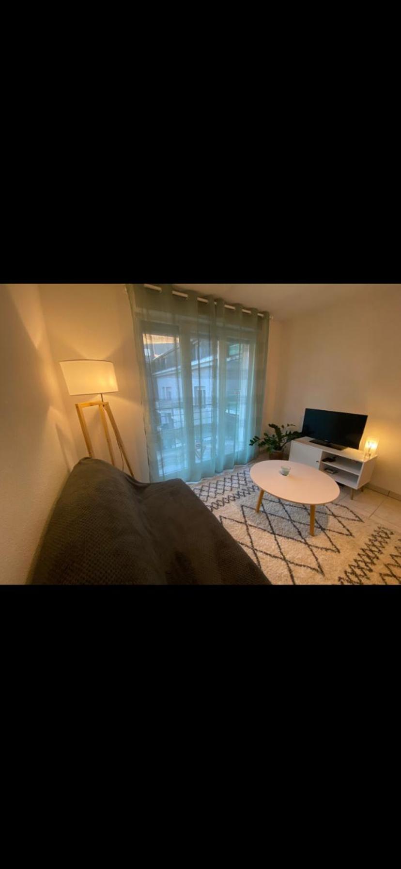 Appartement Calme Centre Ville Avec Place Parking Limoges Eksteriør billede